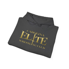 Load image into Gallery viewer, CEWC Hooded Sweatshirt
