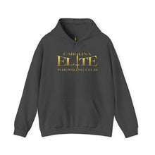 Load image into Gallery viewer, CEWC Hooded Sweatshirt
