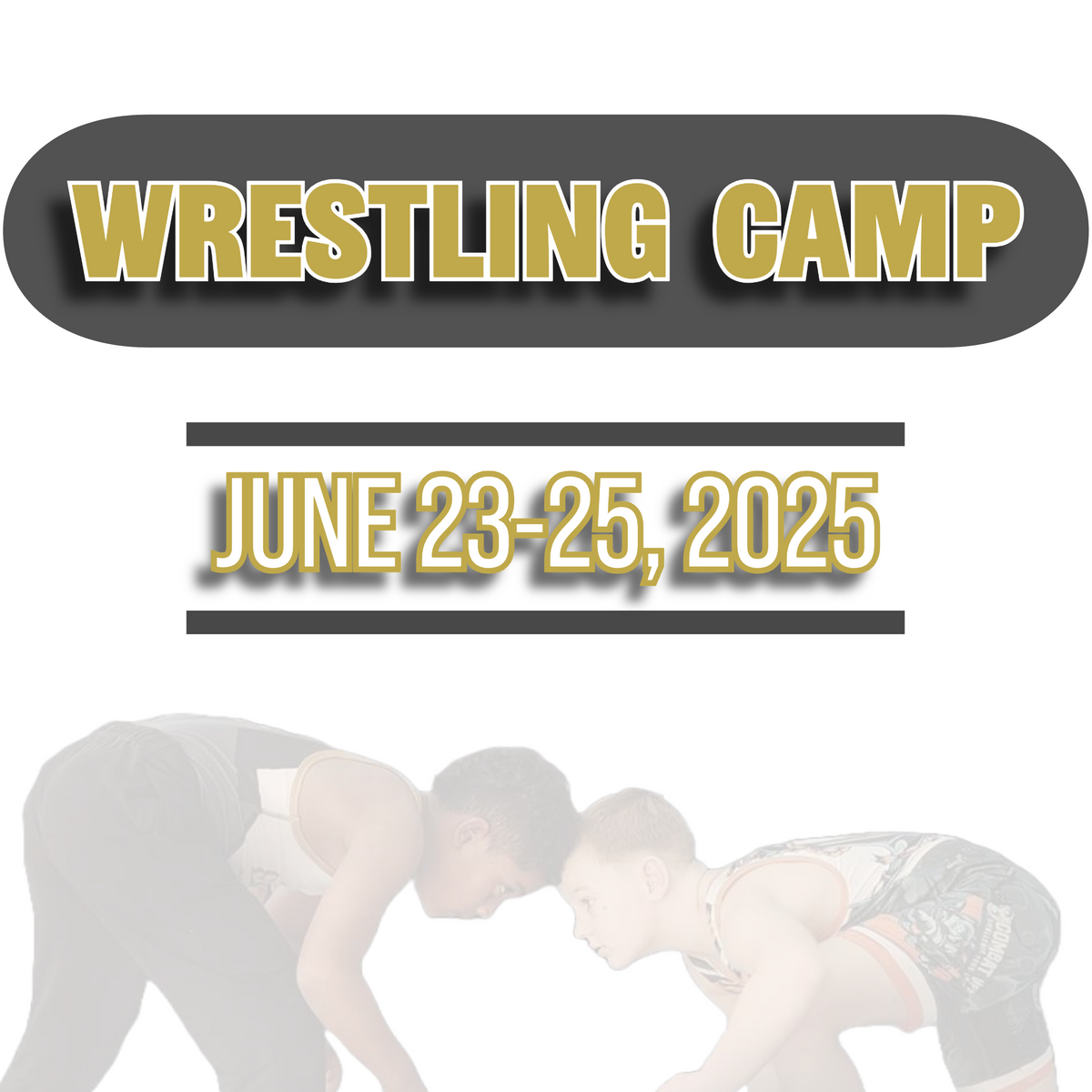 Wrestling camp in Jacksonville by Carolina elite wrestling club 28540